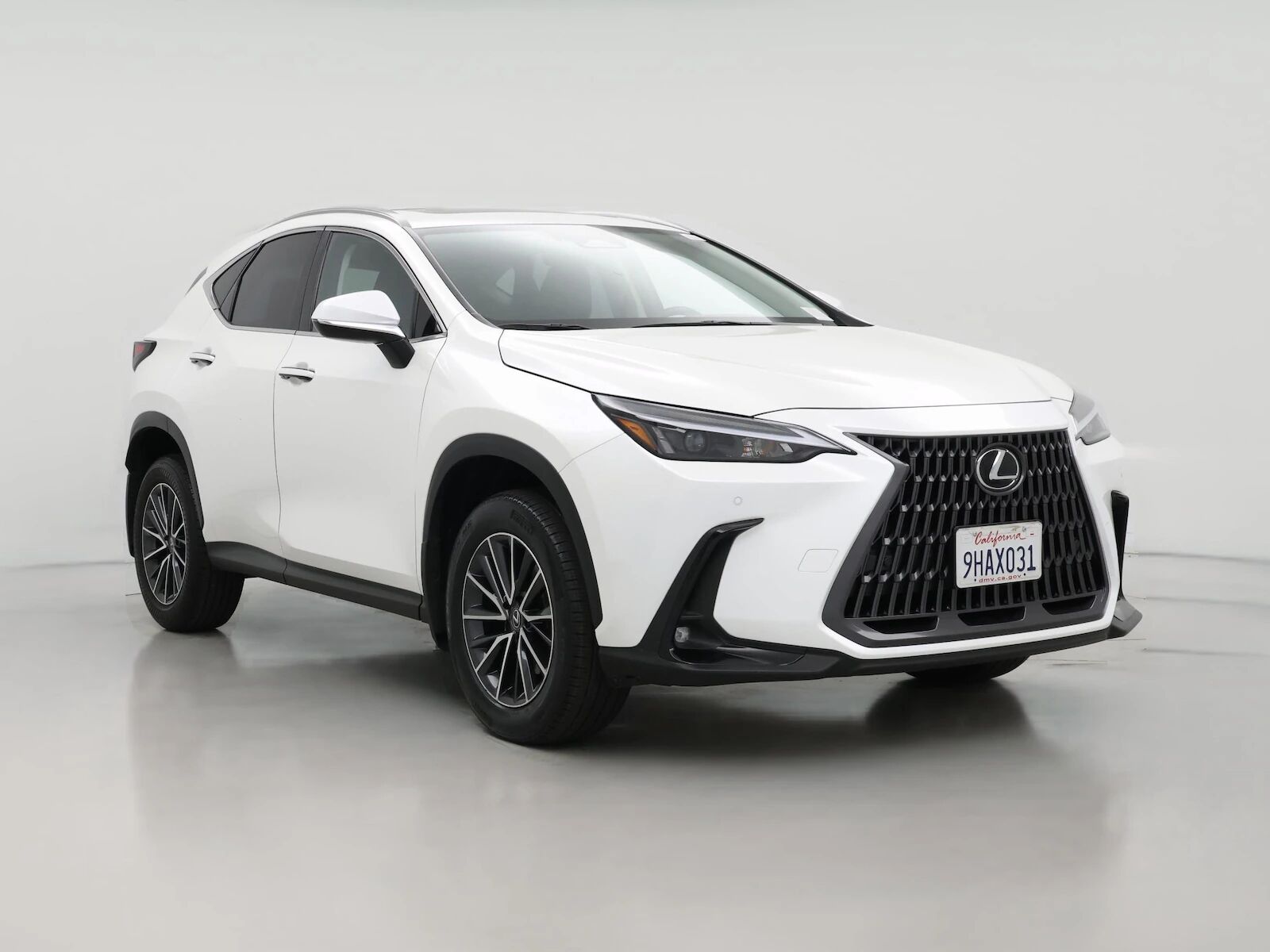 2024 LEXUS NX