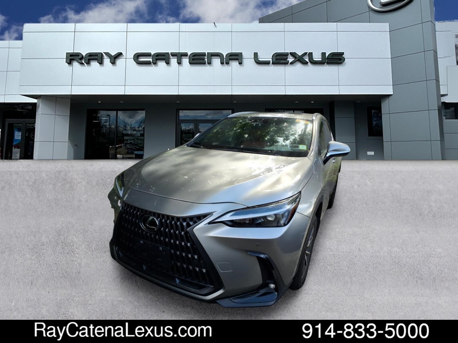 2025 LEXUS NX