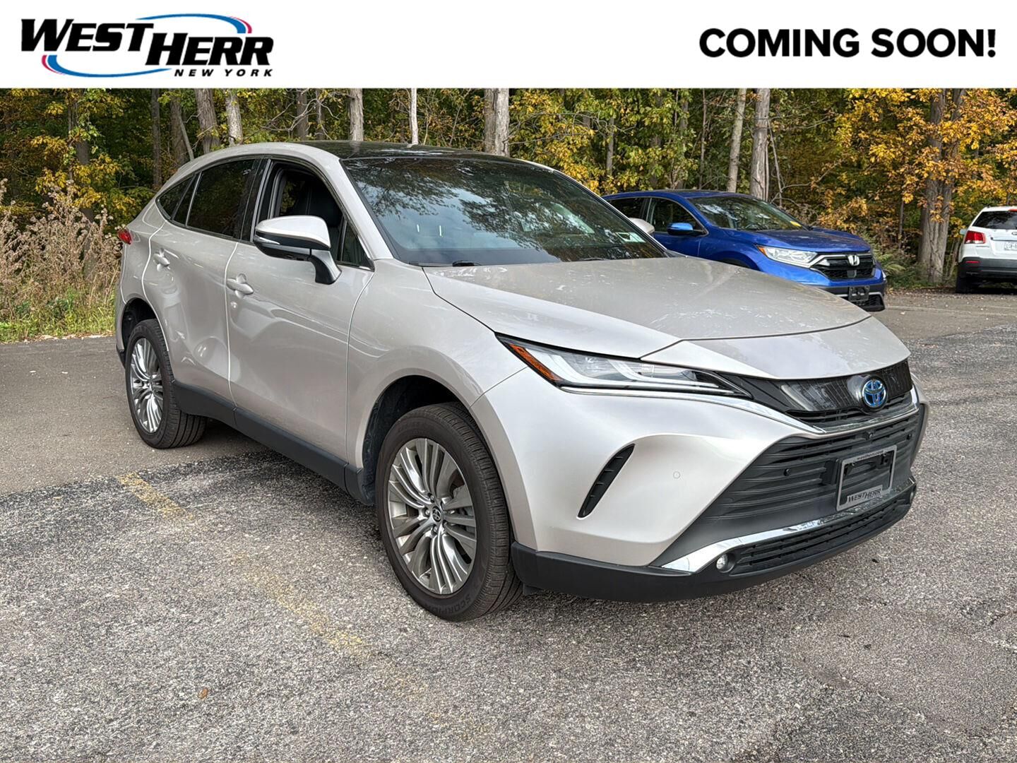 2023 TOYOTA Venza