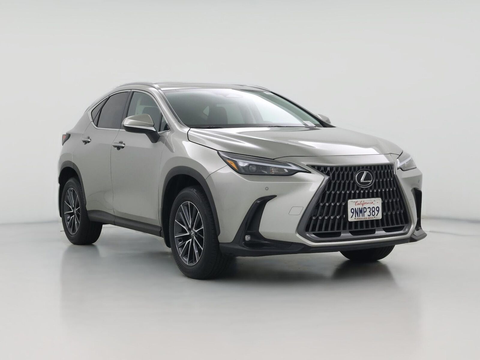2025 LEXUS NX