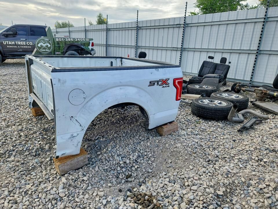 2017 FORD F-150