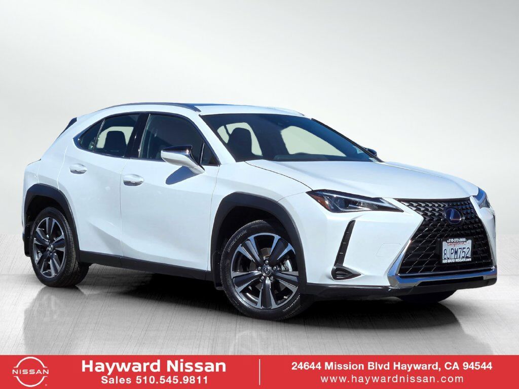 2019 LEXUS UX