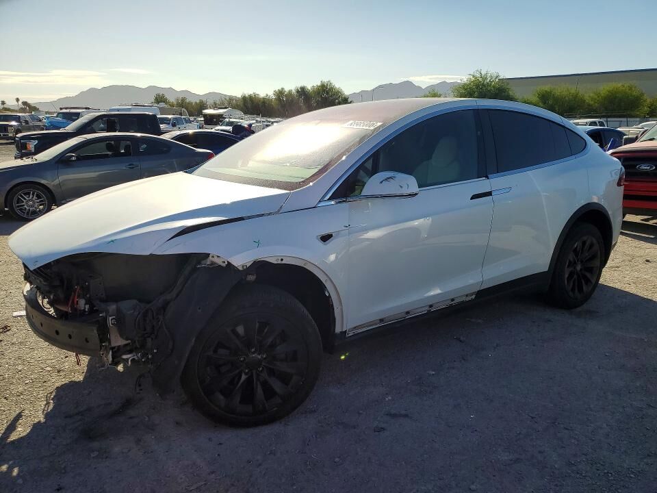 2019 TESLA Model X