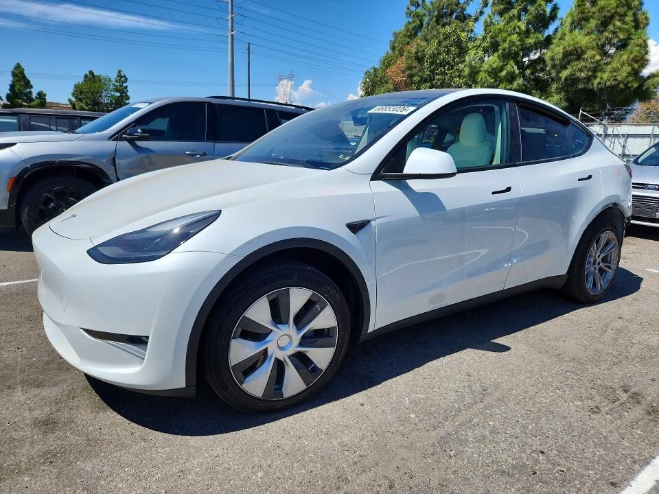 2023 TESLA Model Y