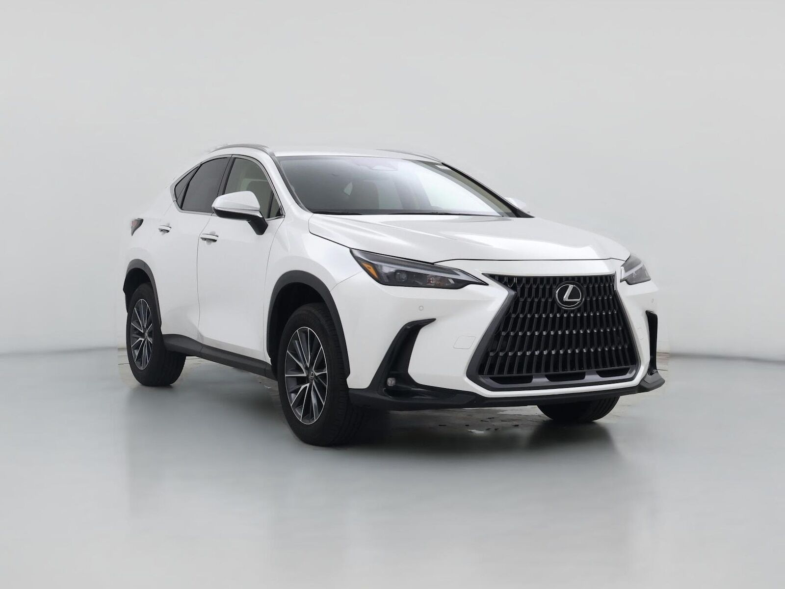2025 LEXUS NX