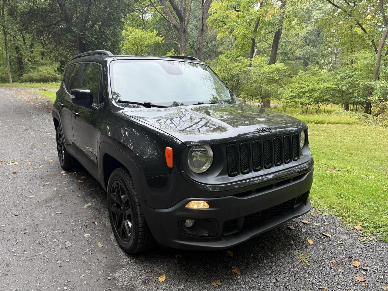 2016 JEEP Renegade