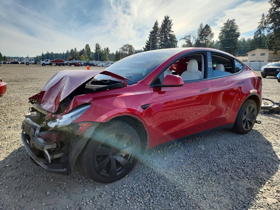 2021 TESLA Model Y