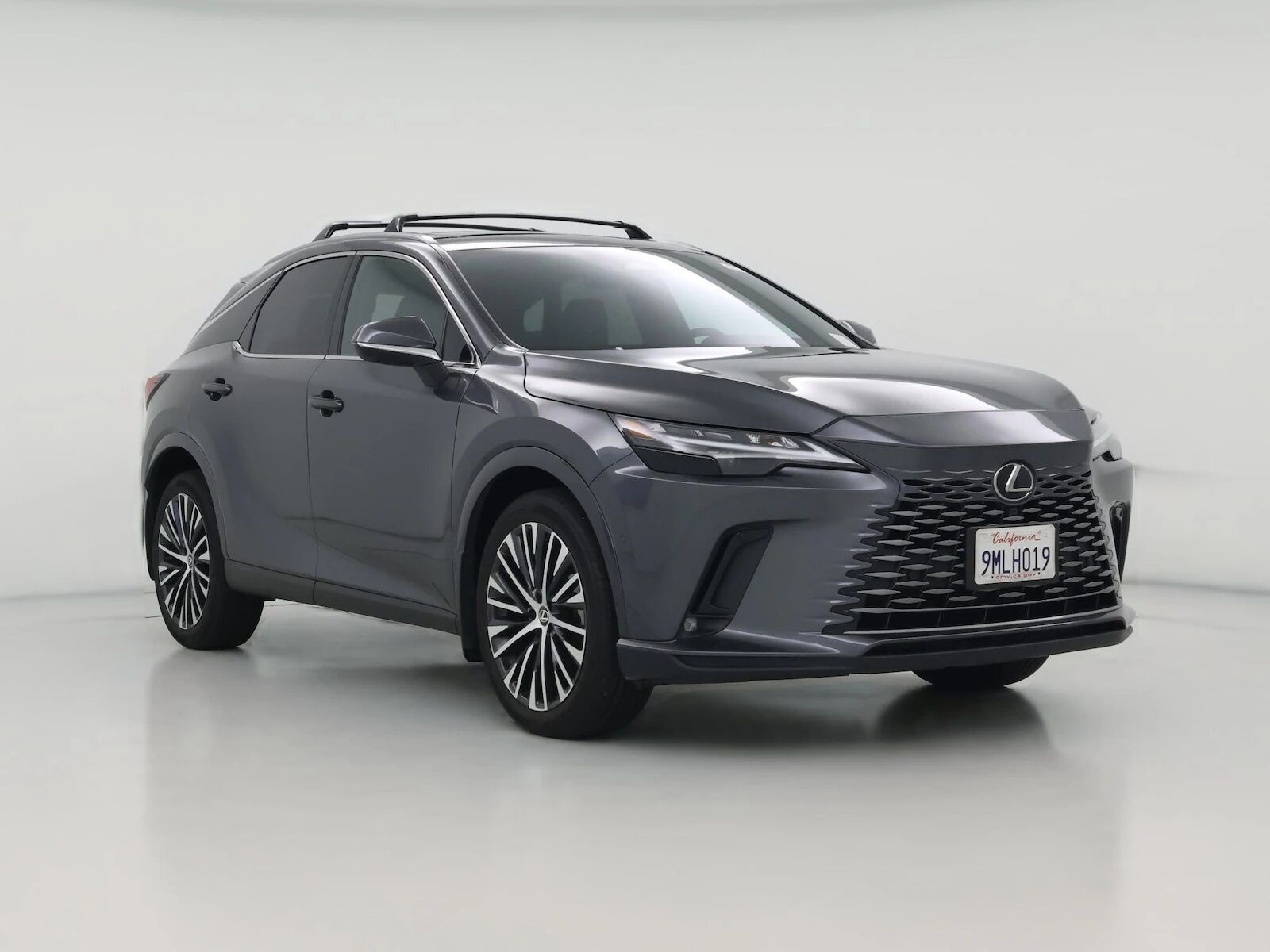 2024 LEXUS RX