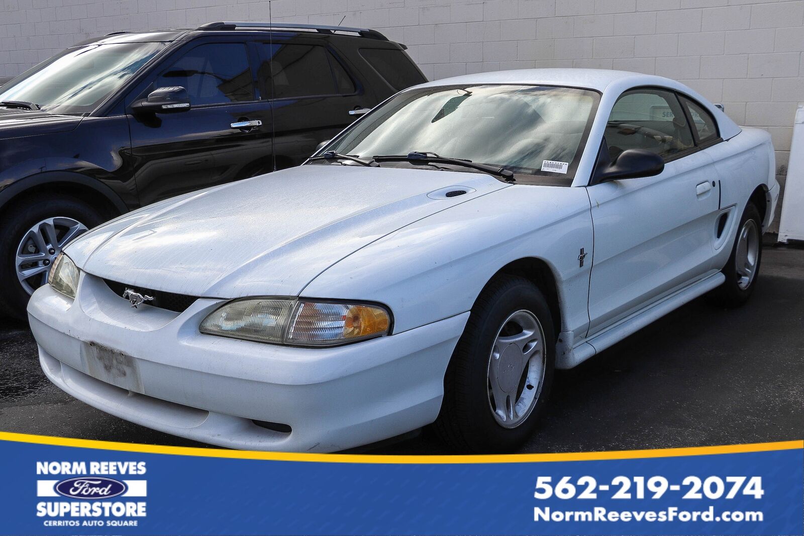 1996 FORD Mustang