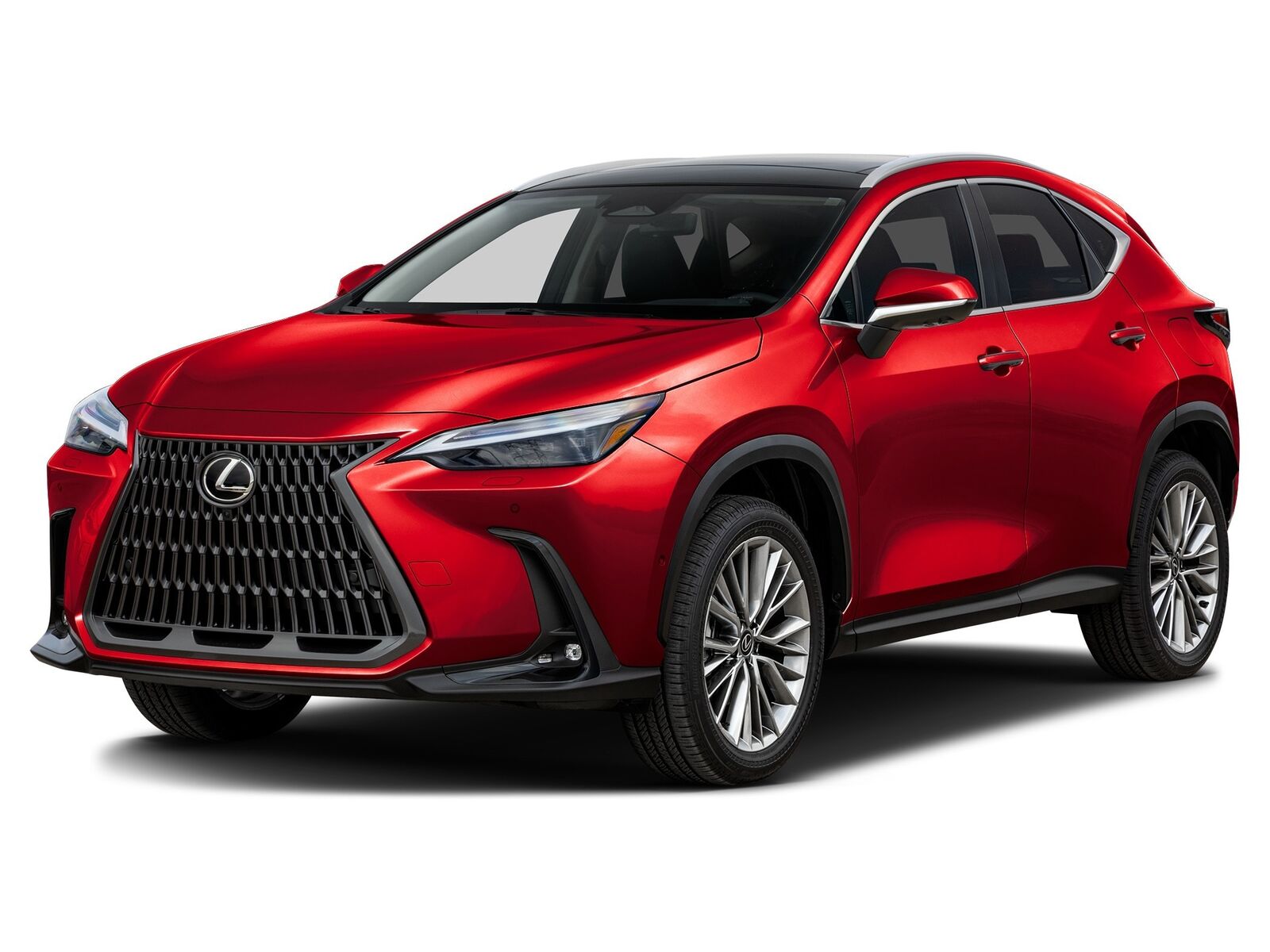 2026 LEXUS NX