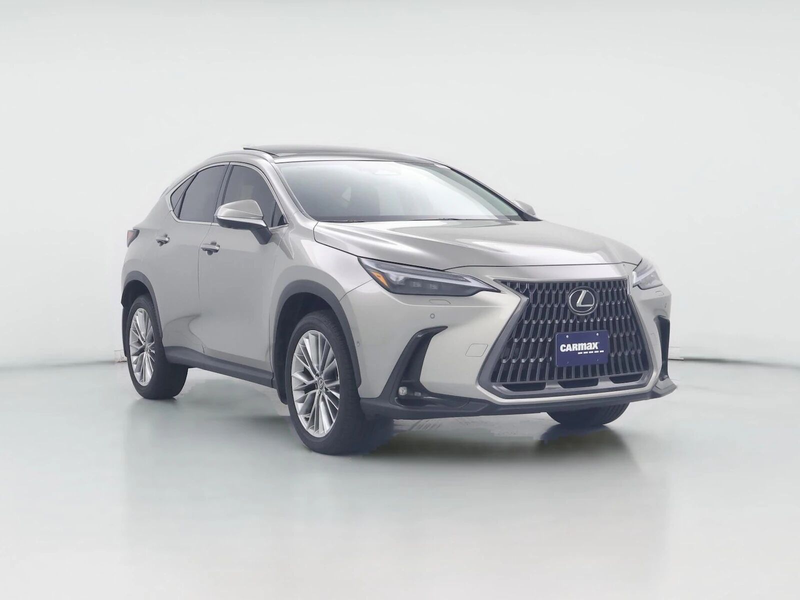 2026 LEXUS NX