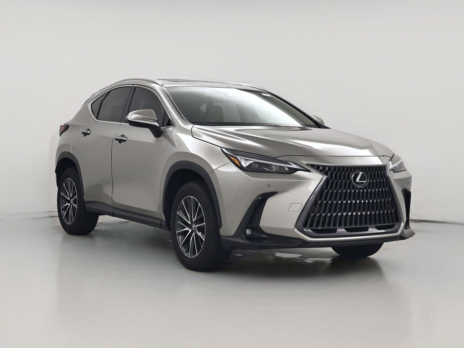 2026 LEXUS NX