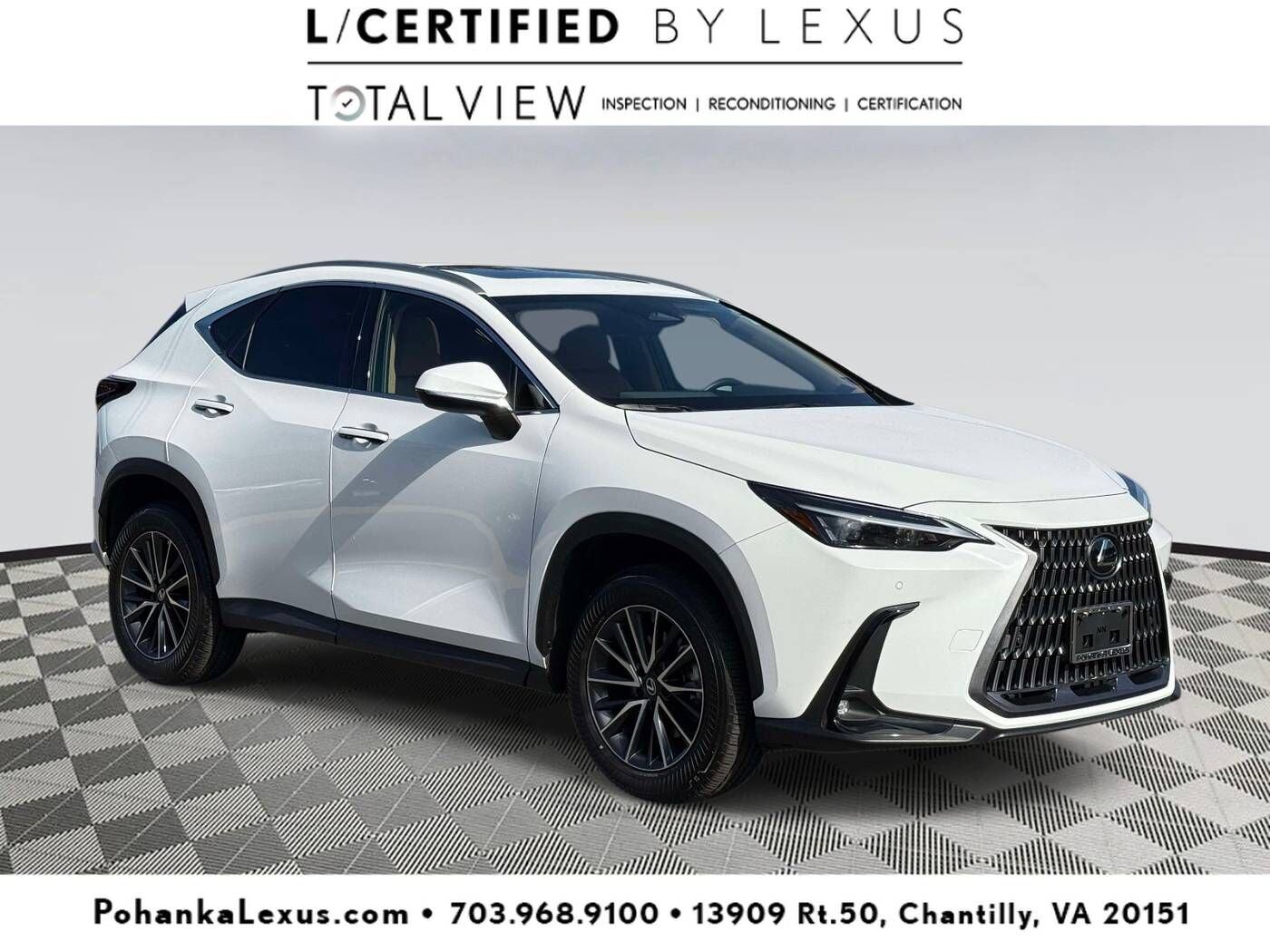 2026 LEXUS NX