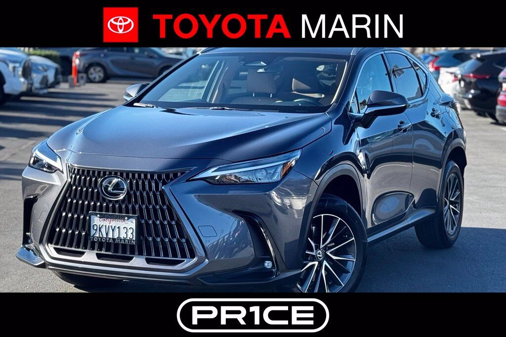 2024 LEXUS NX