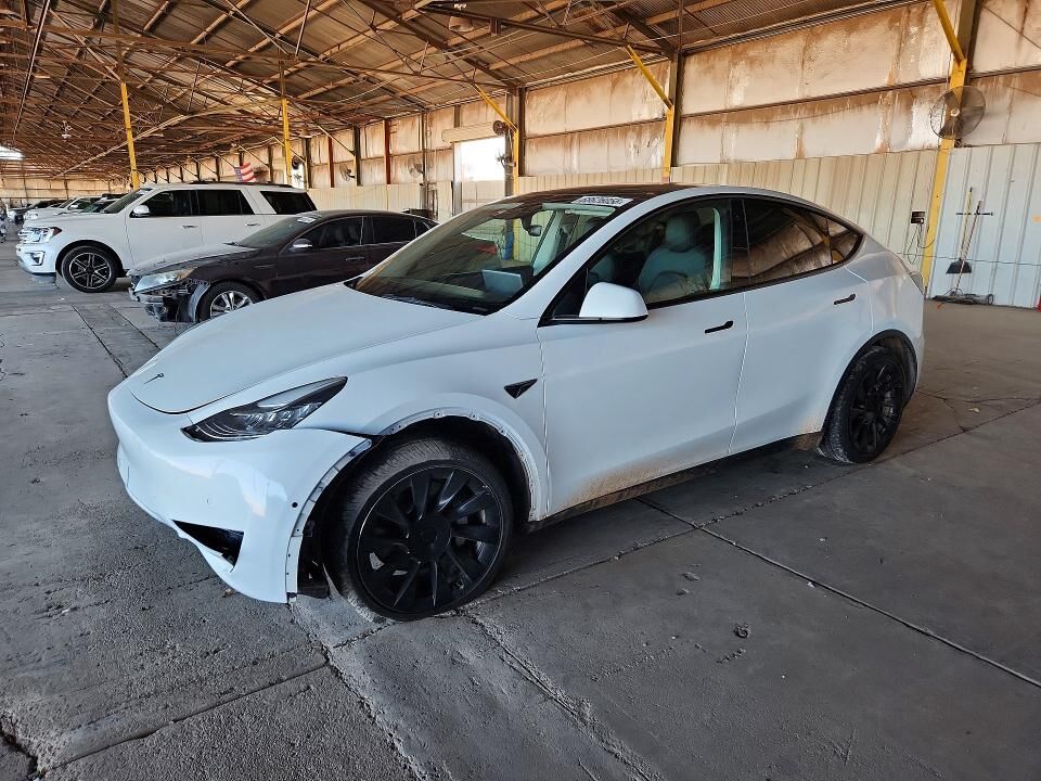 2021 TESLA Model Y
