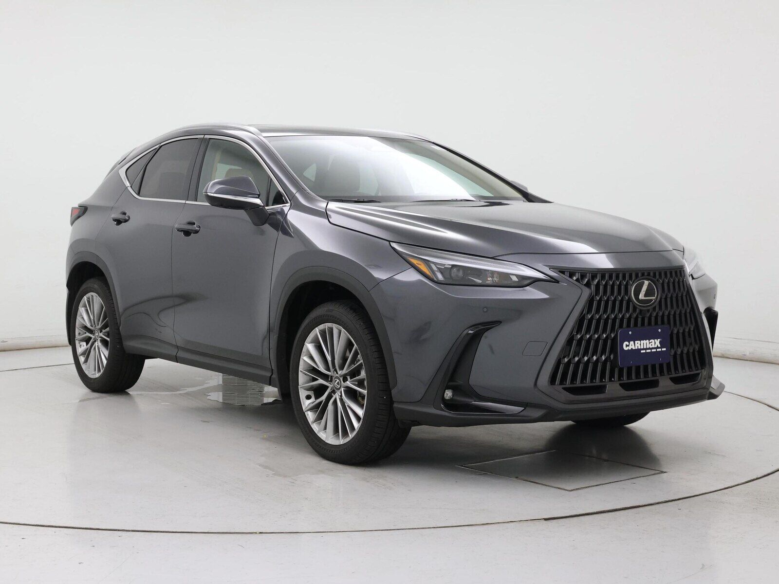 2026 Lexus NX