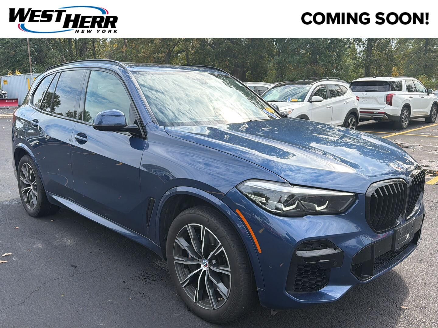 2023 BMW X5