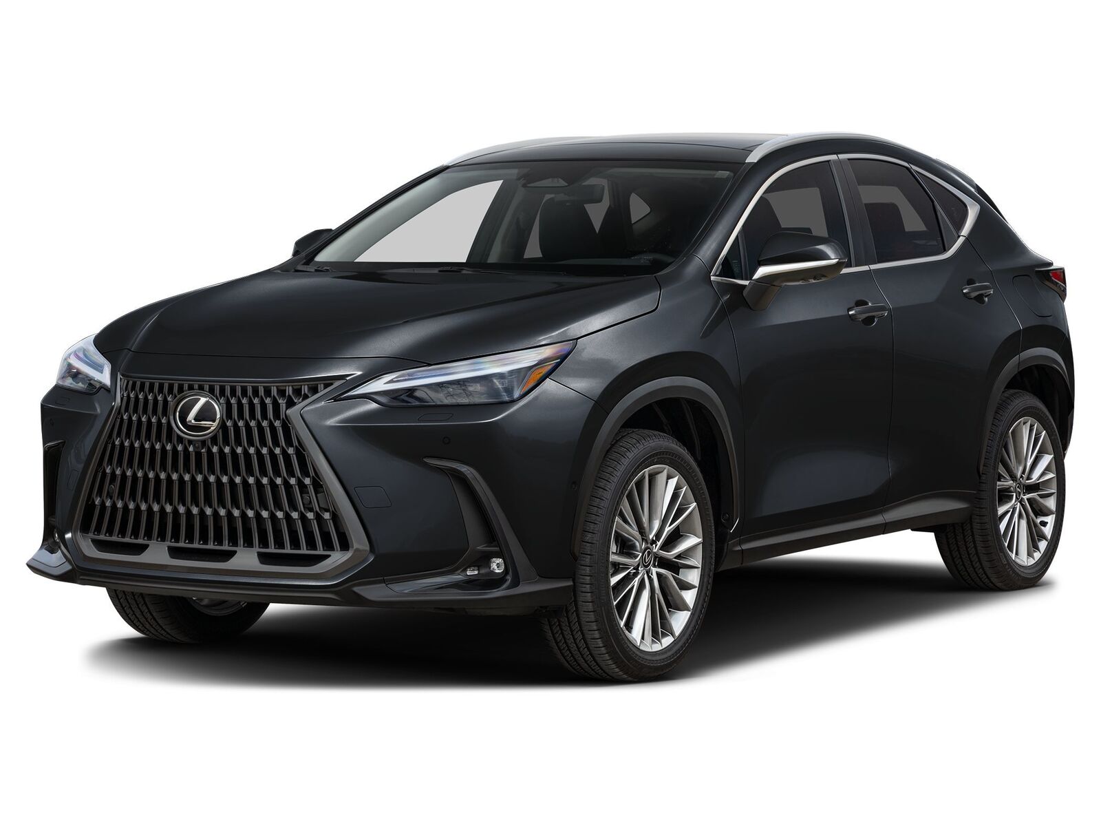 2026 LEXUS NX