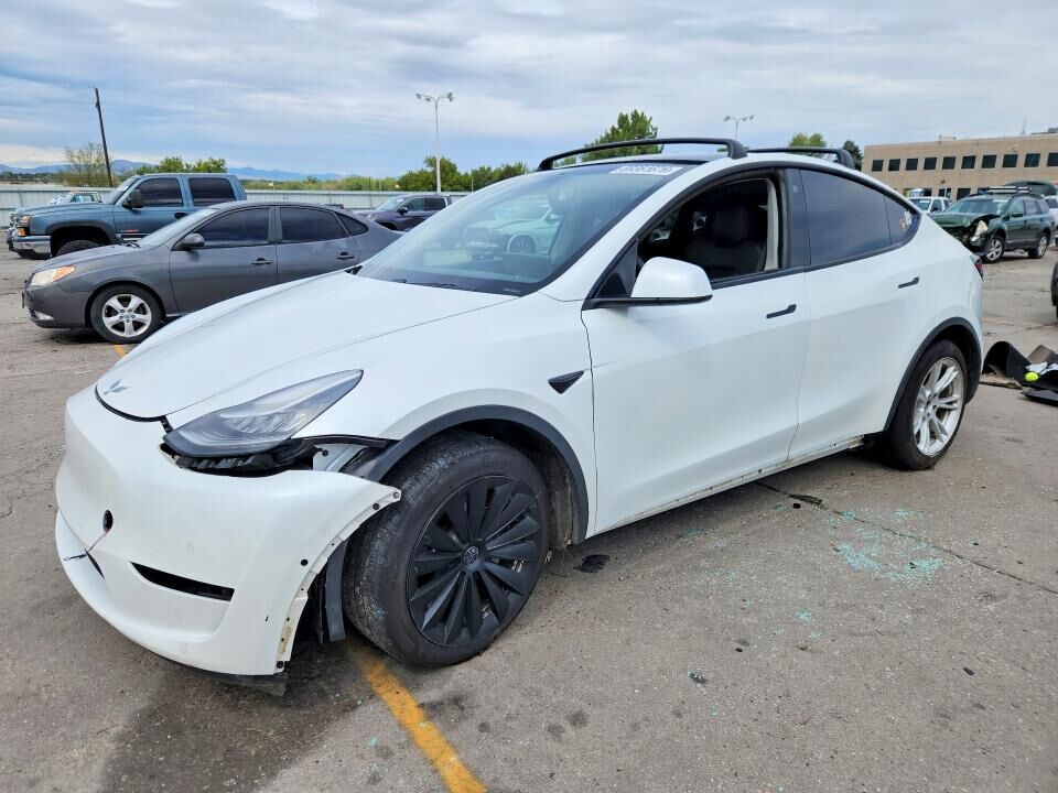 2020 TESLA Model Y