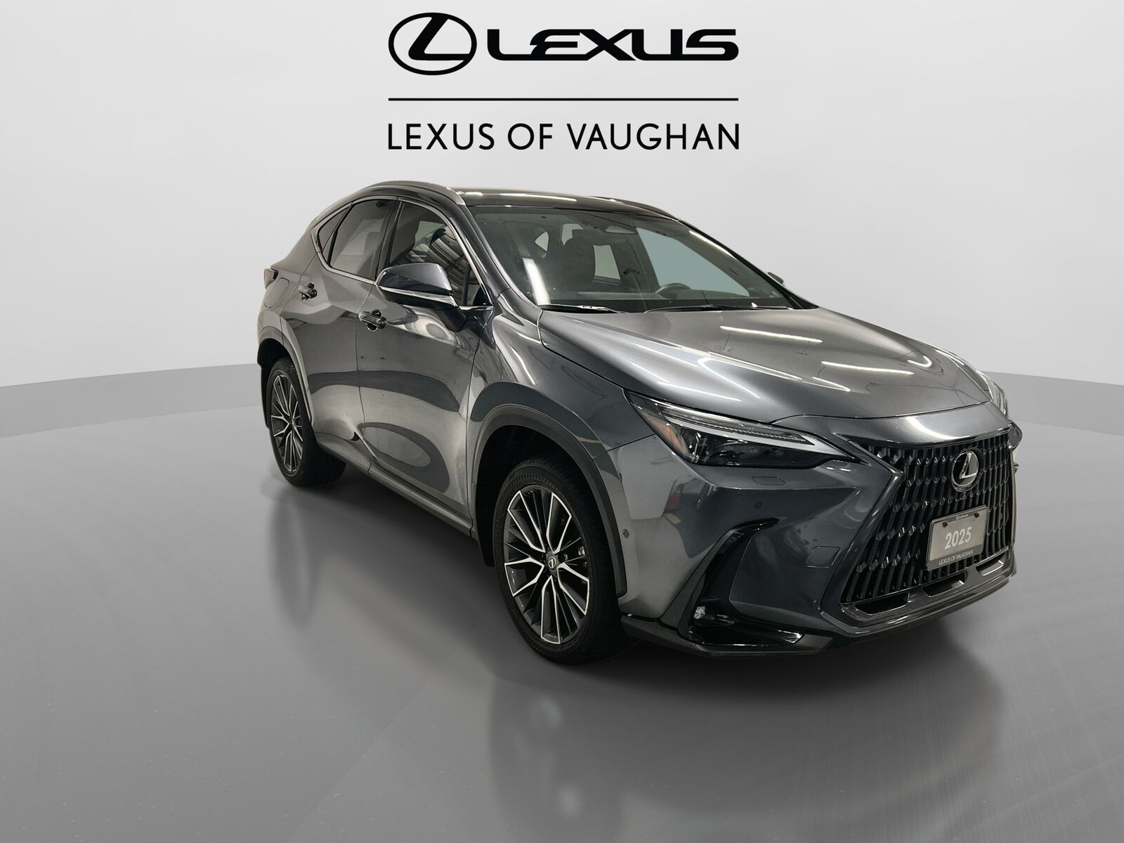 2025 Lexus NX