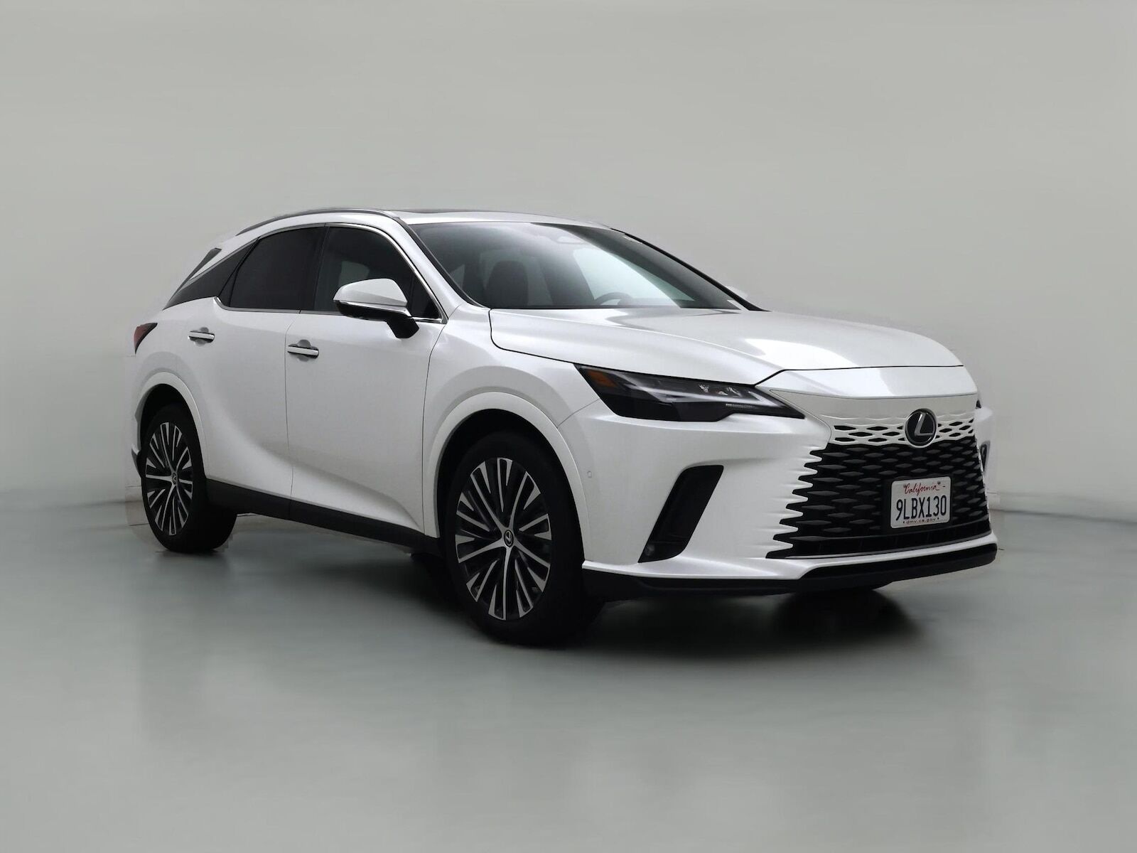 2024 LEXUS RX