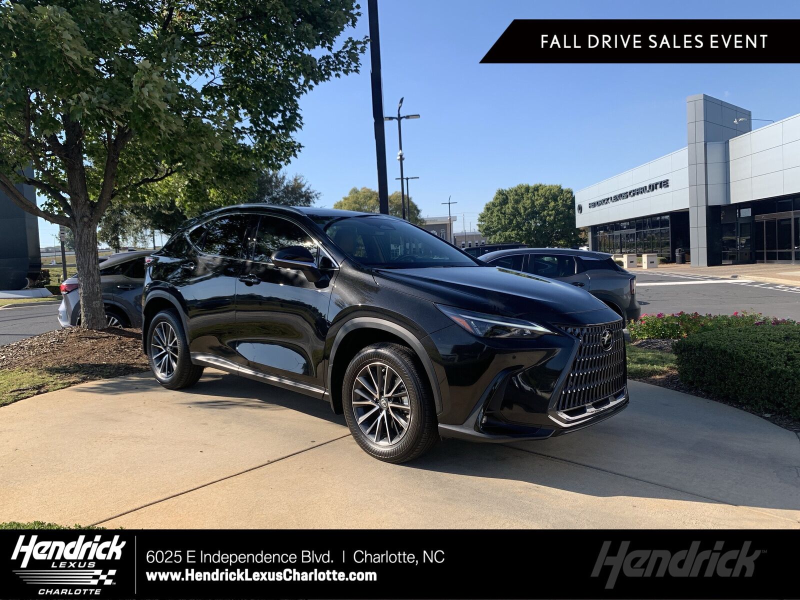 2026 LEXUS NX