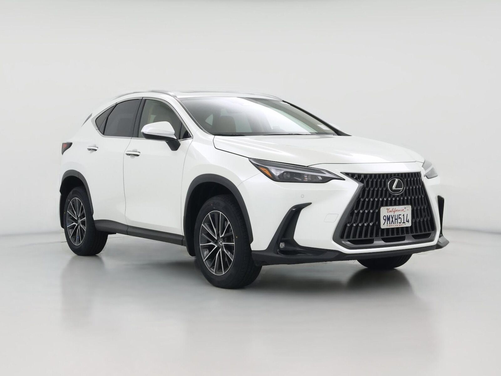 2025 LEXUS NX