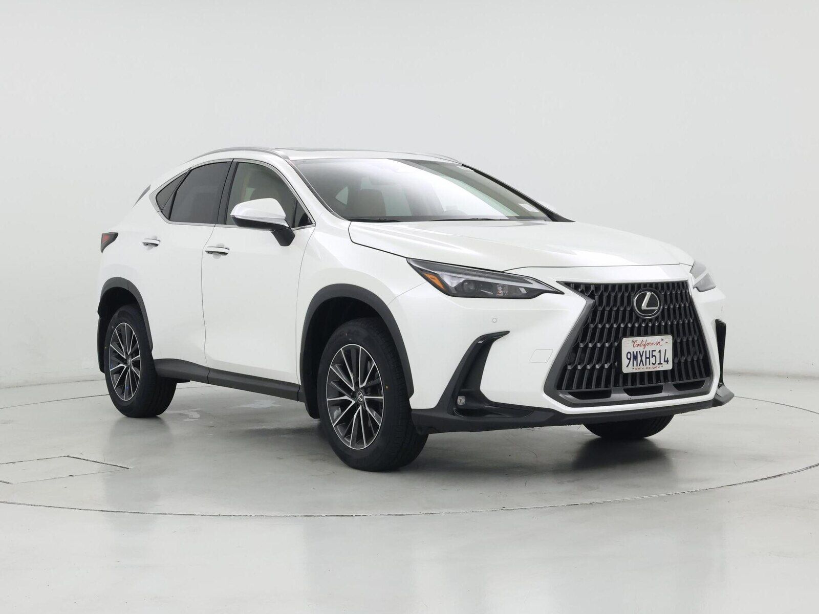 2025 Lexus NX