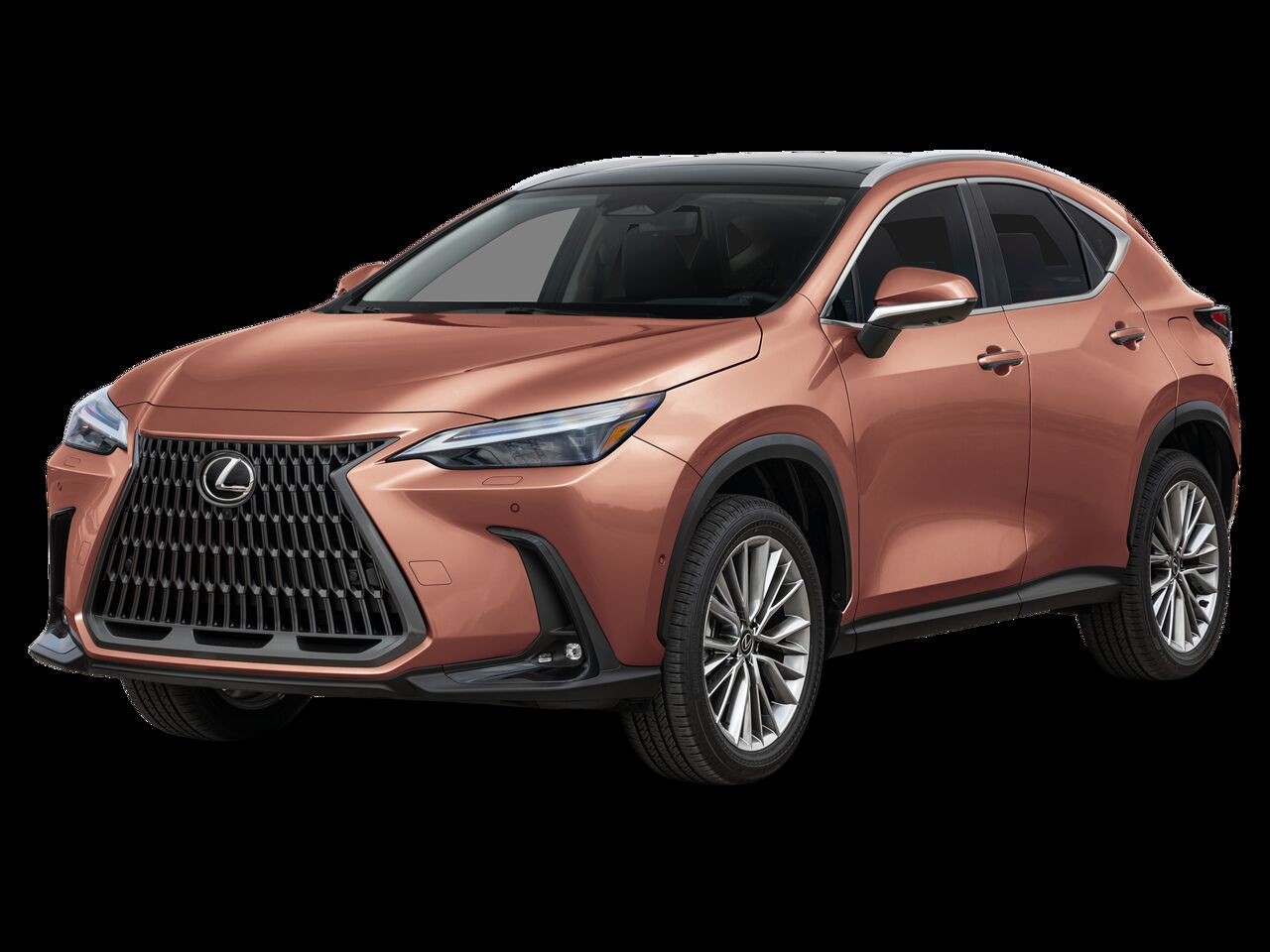 2026 LEXUS NX