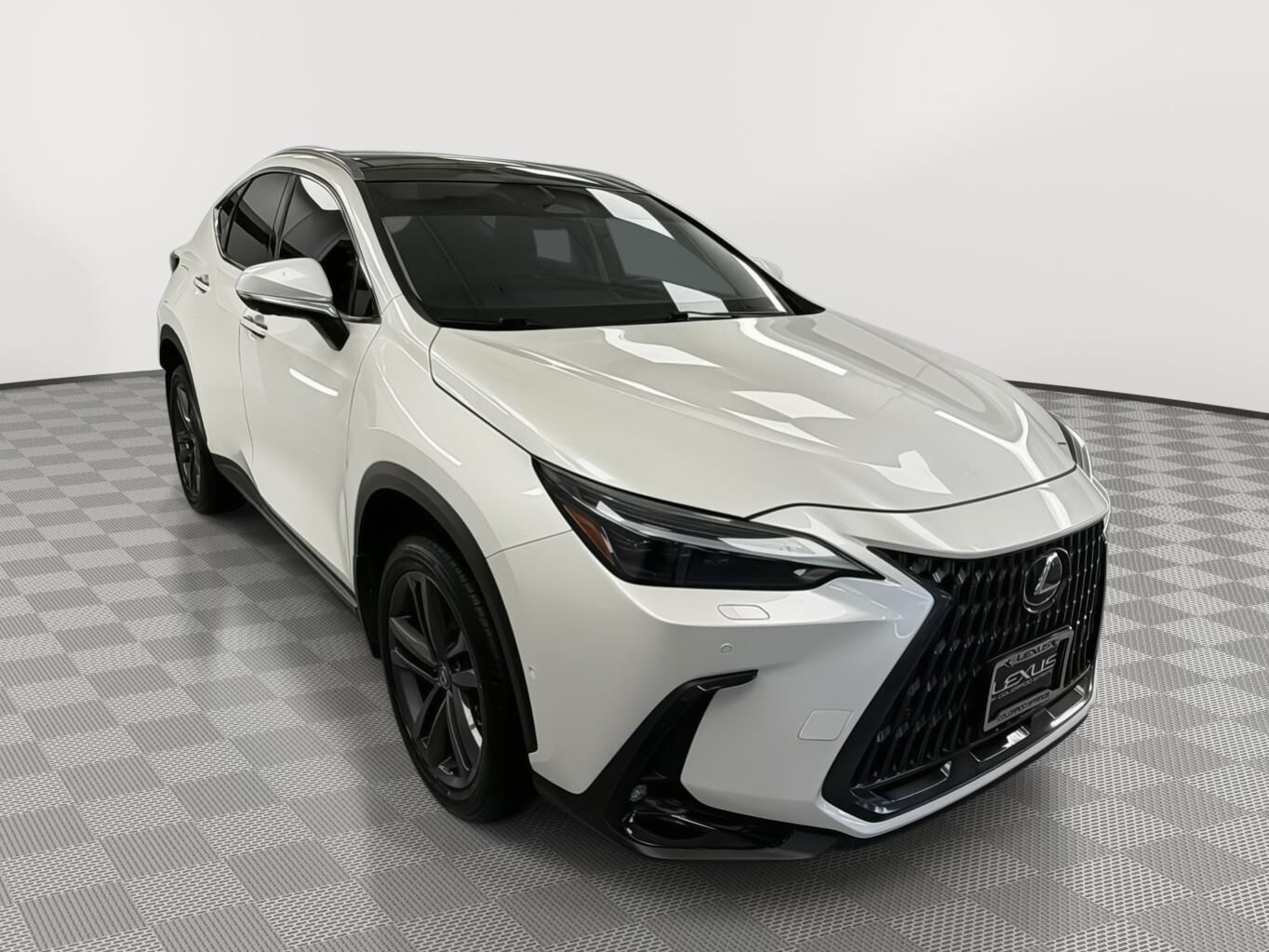 2025 LEXUS NX