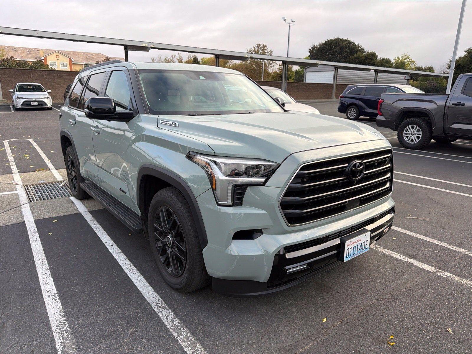 2024 TOYOTA Sequoia
