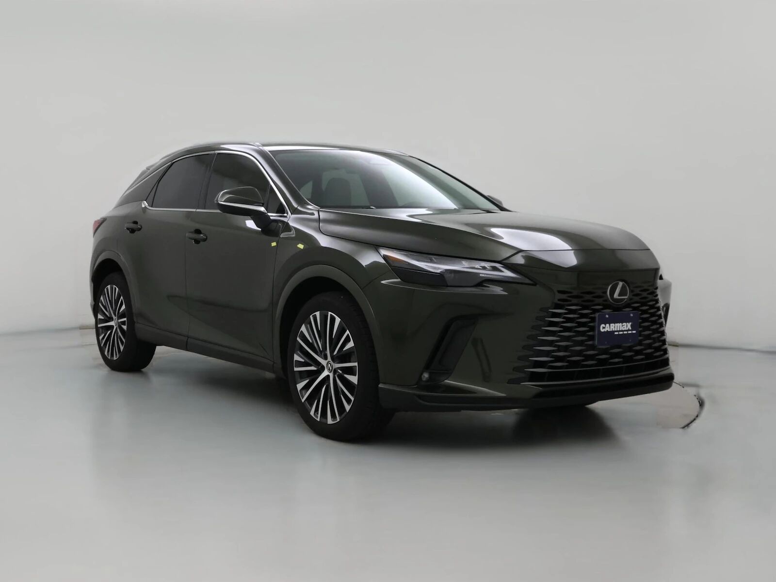 2024 LEXUS RX