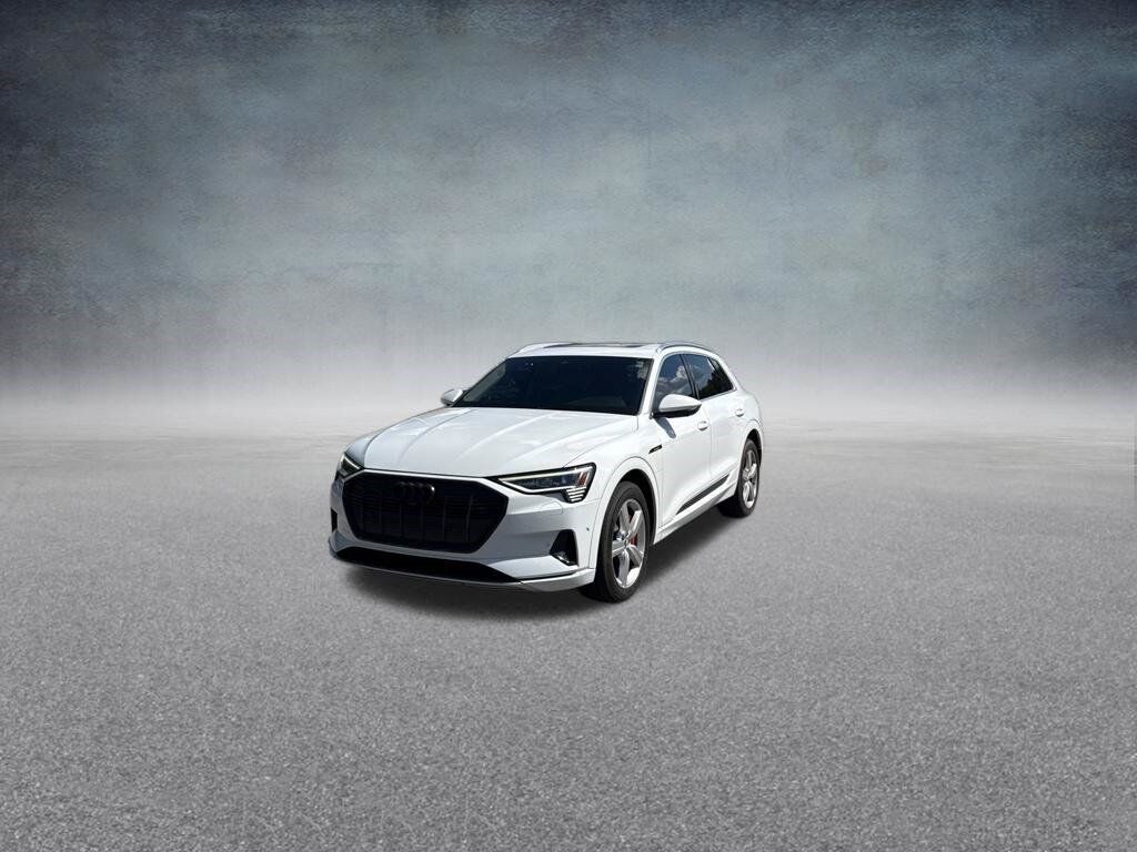 2019 AUDI e-tron