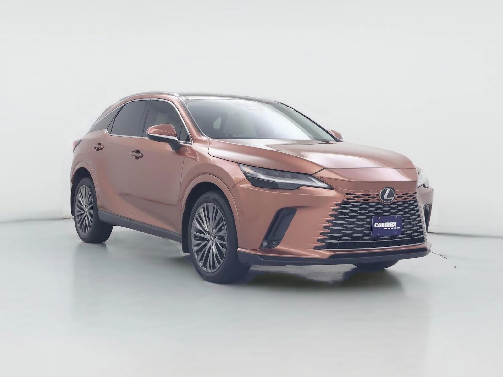 2024 LEXUS RX