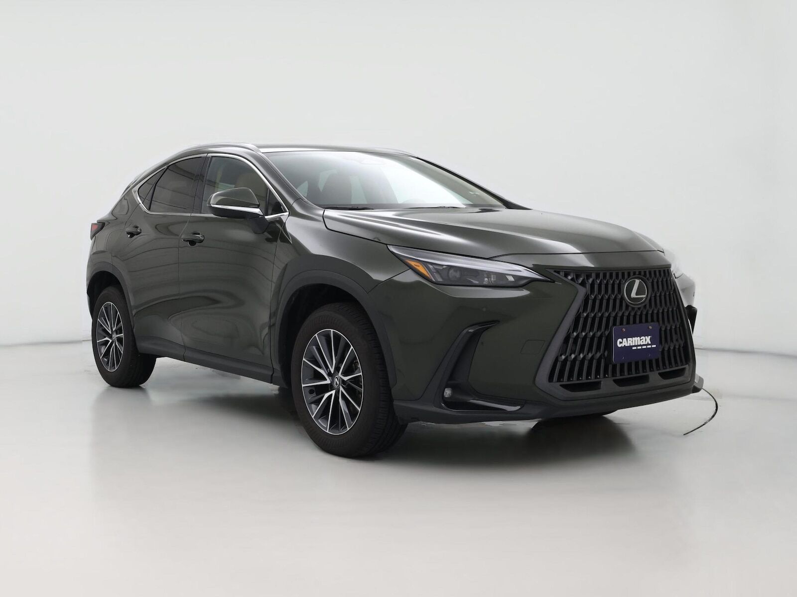 2025 LEXUS NX