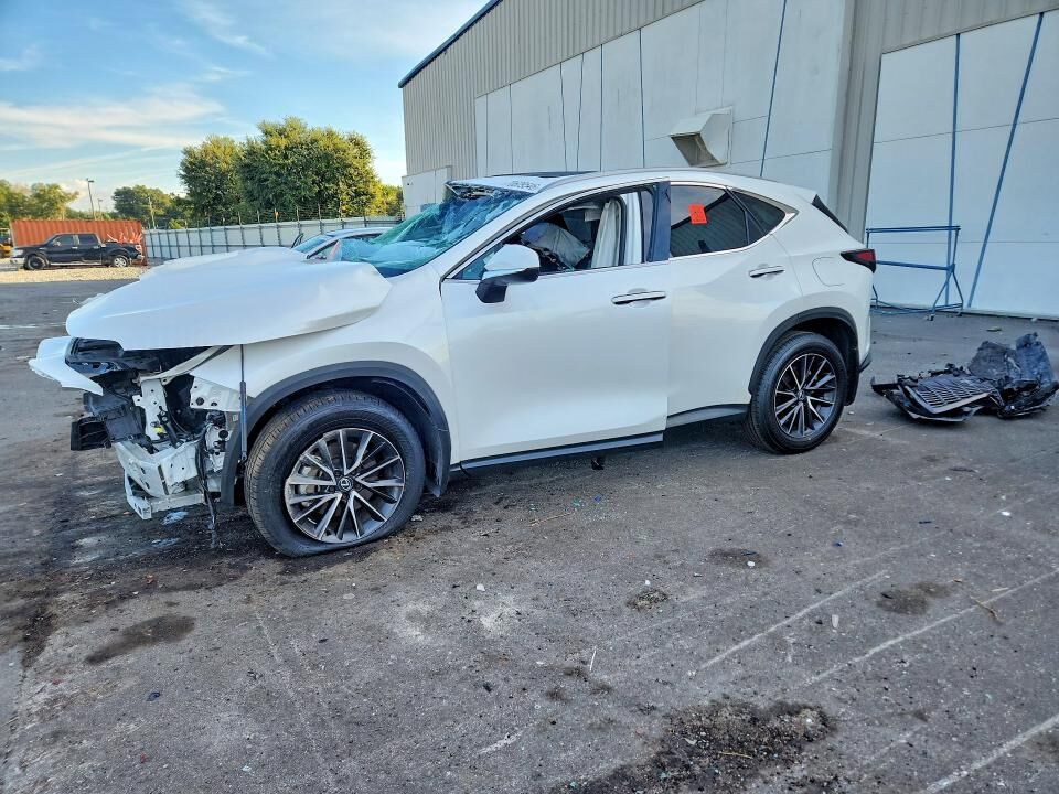 2024 LEXUS NX