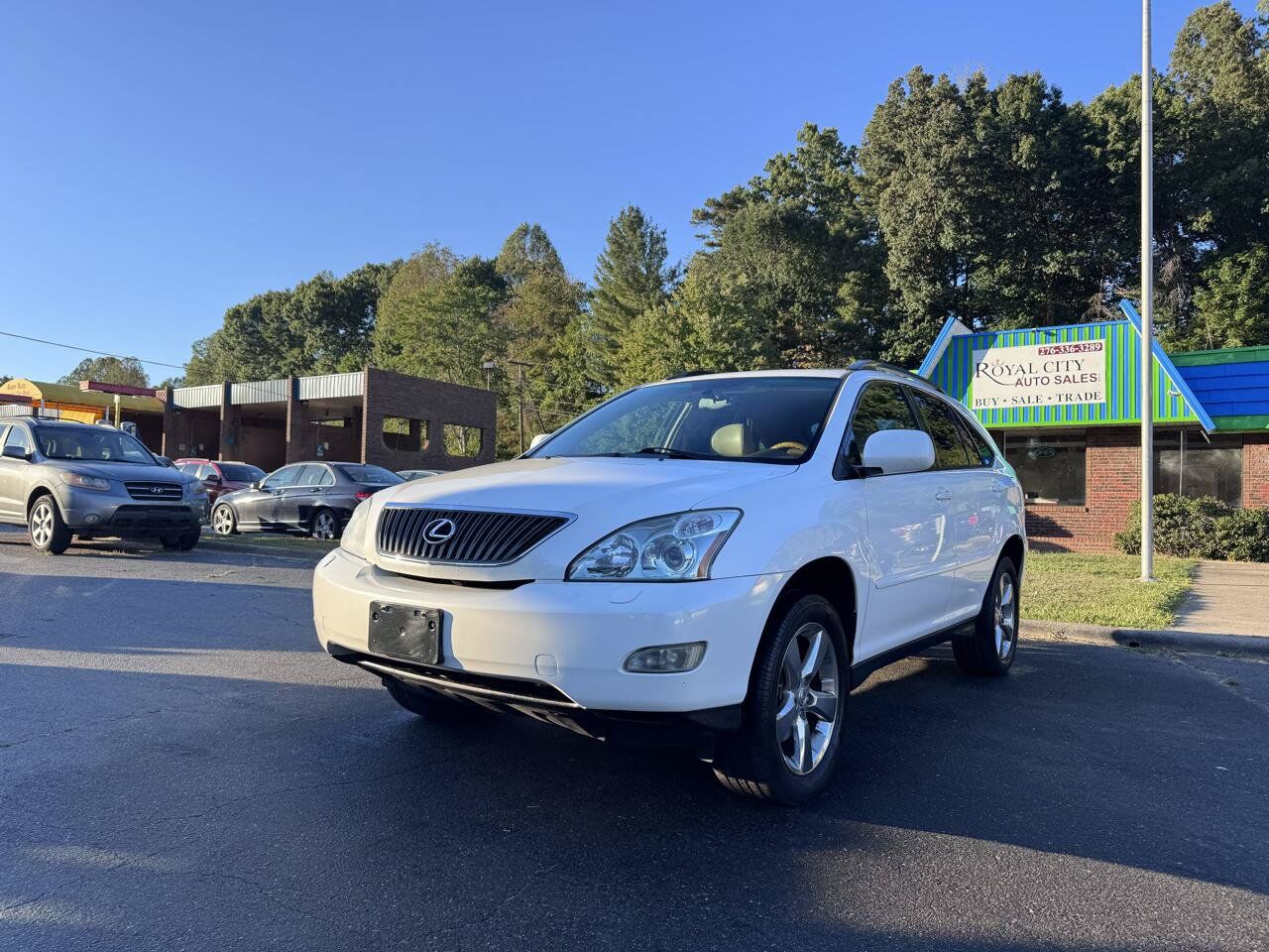 2007 LEXUS RX