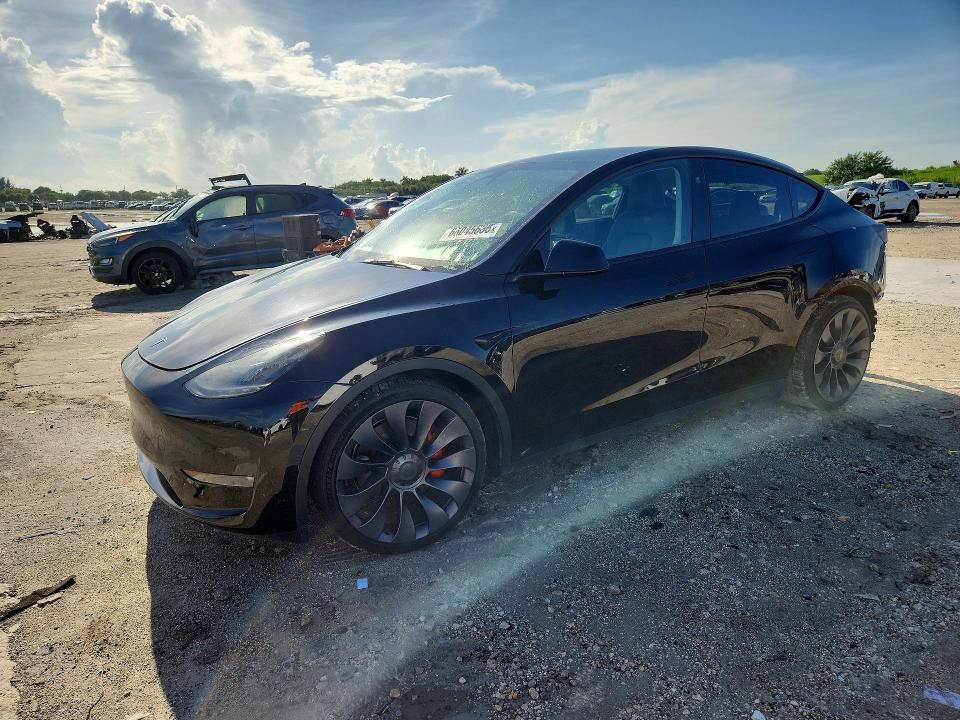 2024 TESLA Model Y