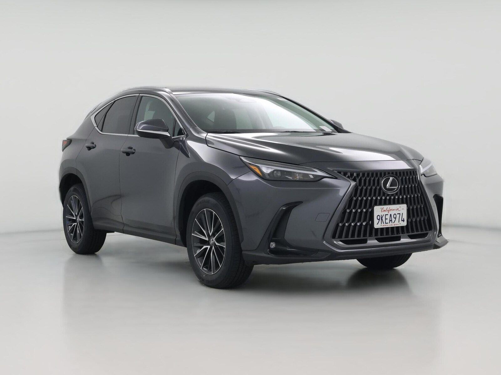 2024 LEXUS NX