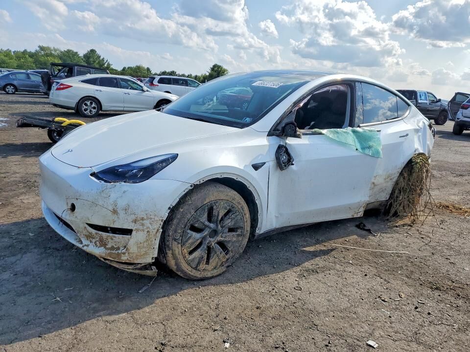 2024 TESLA Model Y