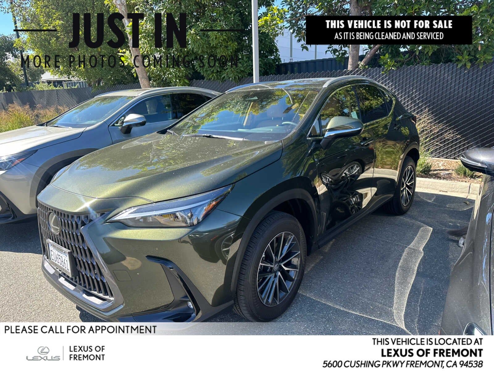 2026 LEXUS NX