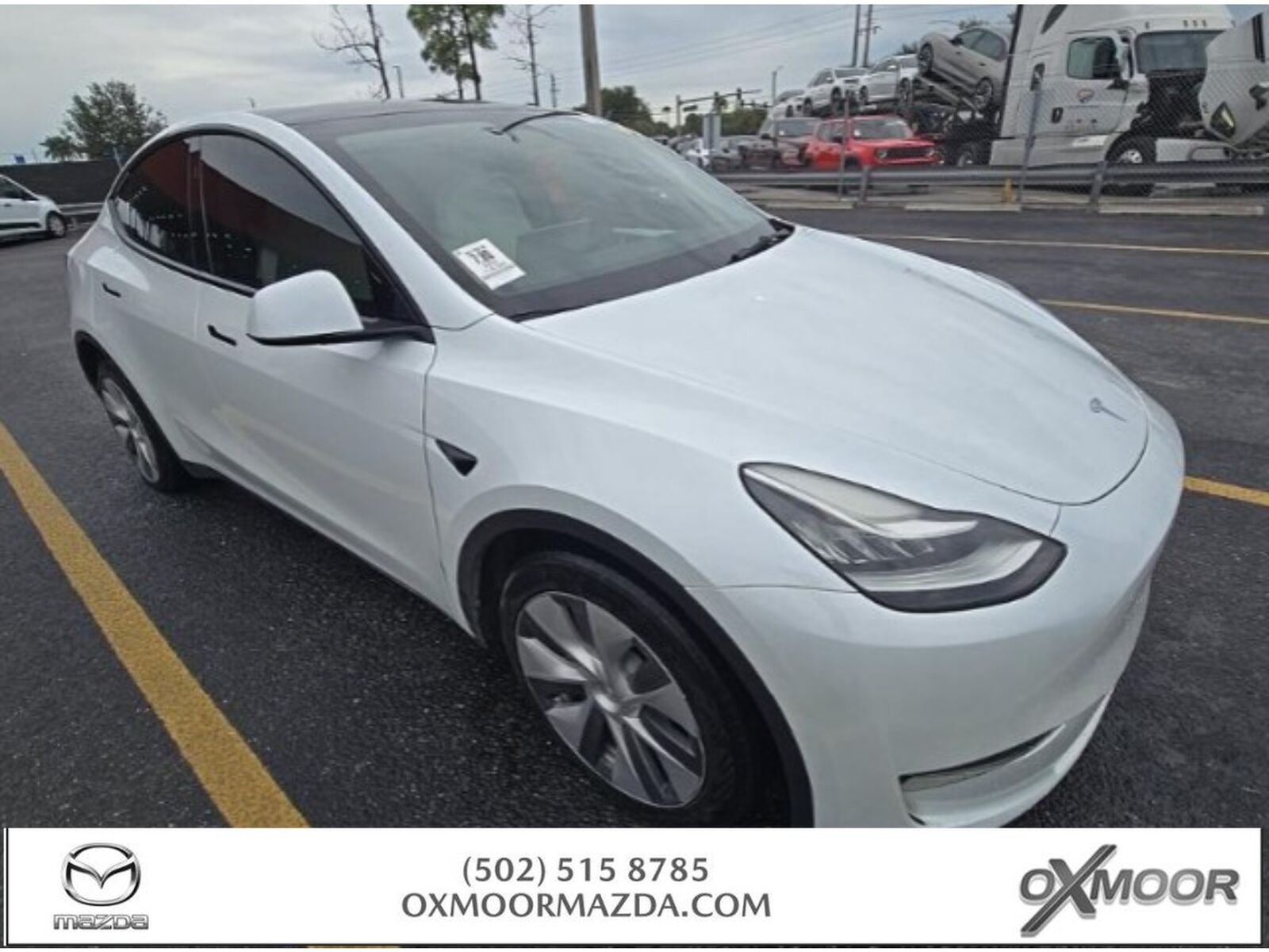 2023 TESLA Model Y