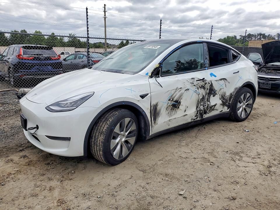 2020 TESLA Model Y