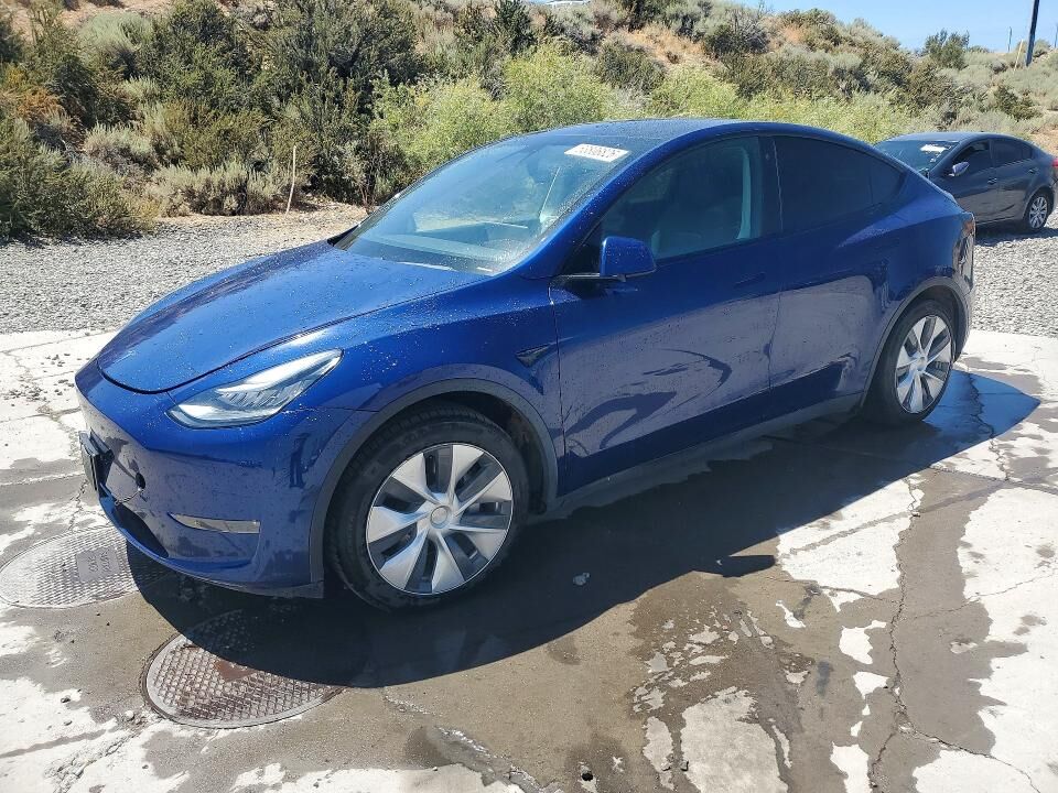2021 TESLA Model Y
