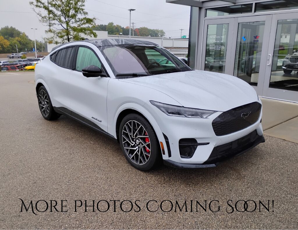 2022 FORD Mach-E