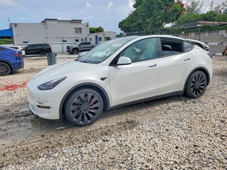 2024 TESLA Model Y