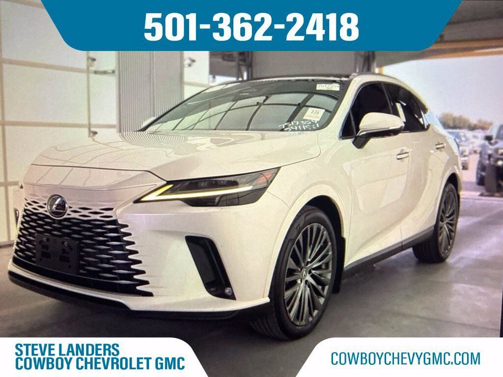 2024 LEXUS RX