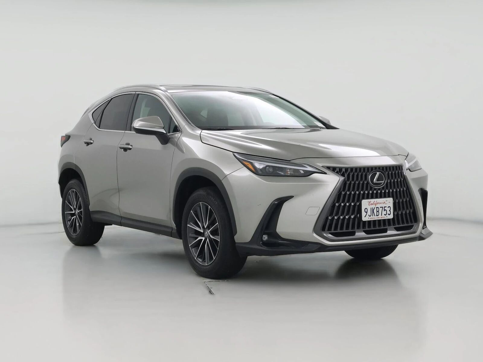 2024 LEXUS NX