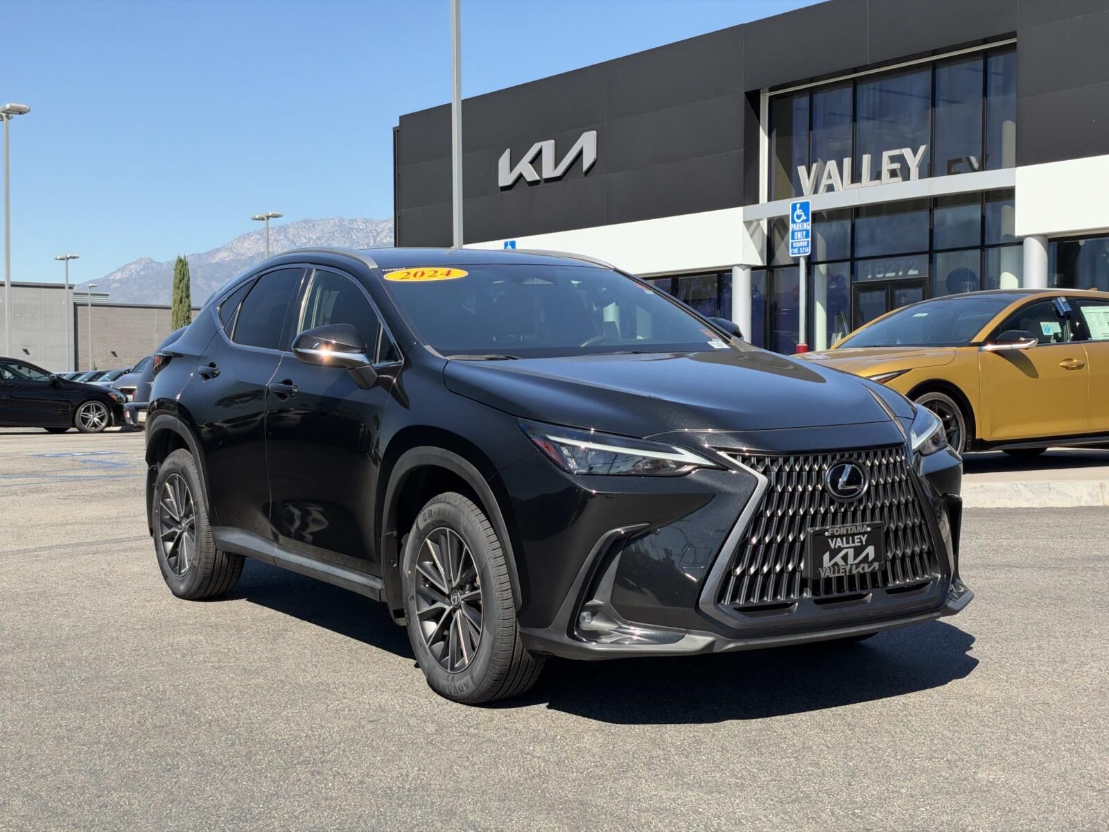 2024 LEXUS NX