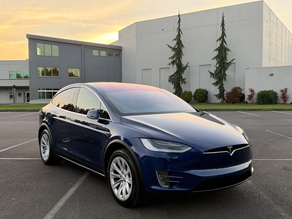 2019 TESLA Model X